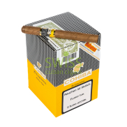 Cohiba Exquisitos